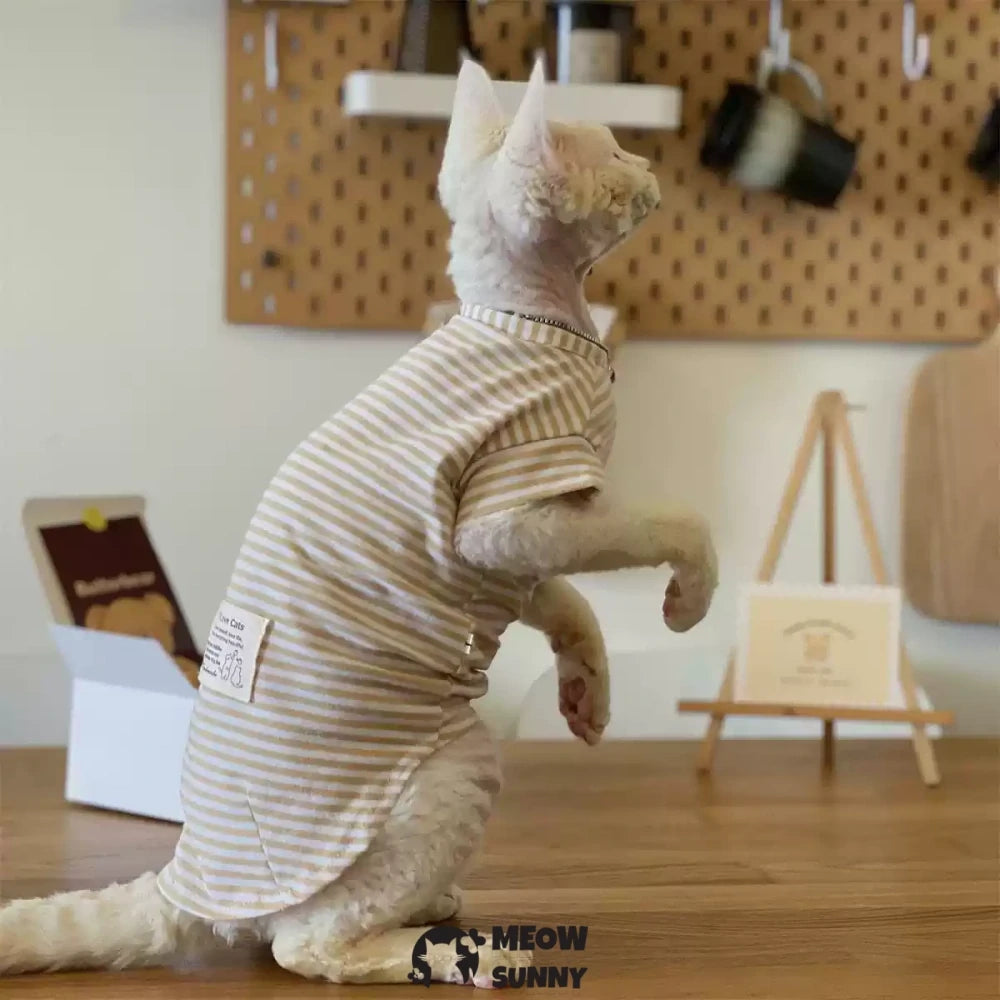 Hairless cat clothes Devon cat pure cotton comfortable striped T-shirt bottoming shirt