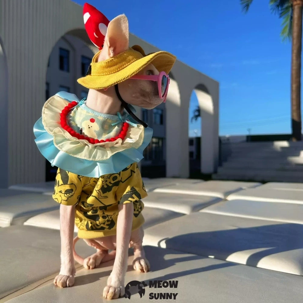 Hairless cat clothes, bibs, T-shirts, sun hats with exposed ears