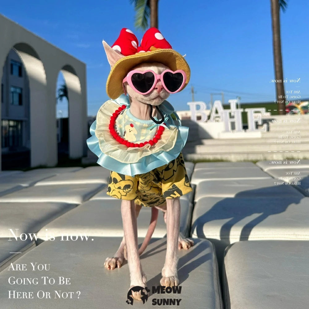 Hairless cat clothes, bibs, T-shirts, sun hats with exposed ears