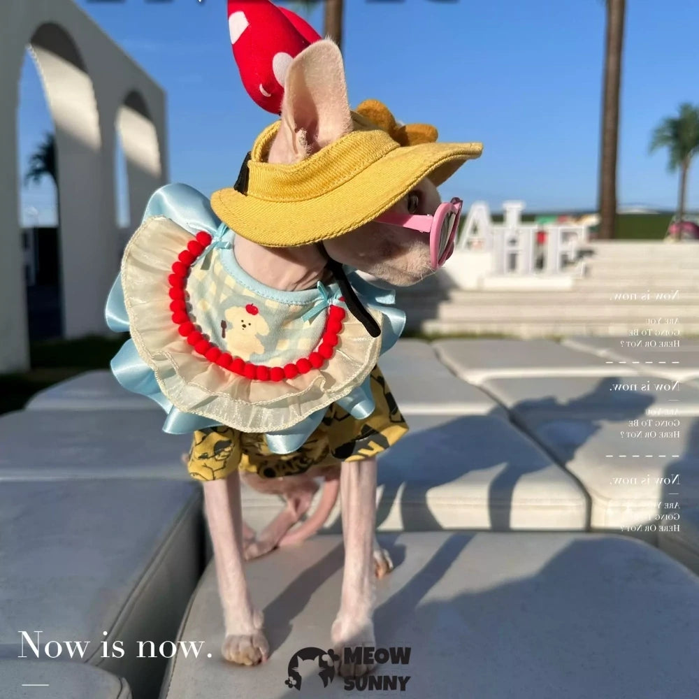 Hairless cat clothes, bibs, T-shirts, sun hats with exposed ears