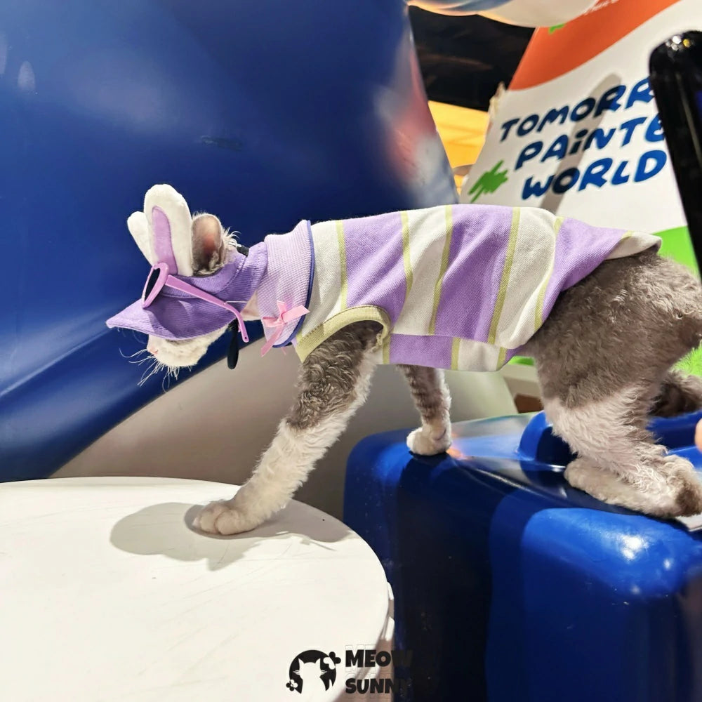 Hairless cat clothes cute bunny hat summer street style doll collar vest