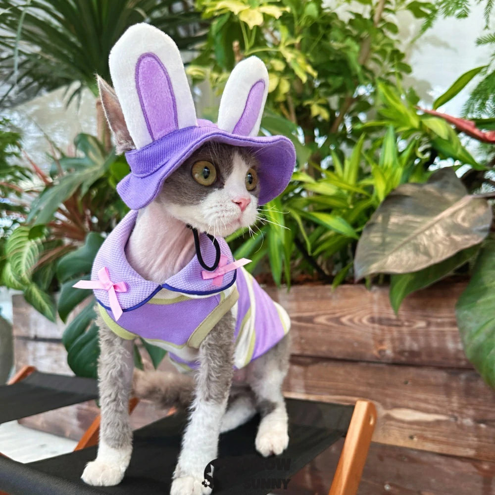 Hairless cat clothes cute bunny hat summer street style doll collar vest
