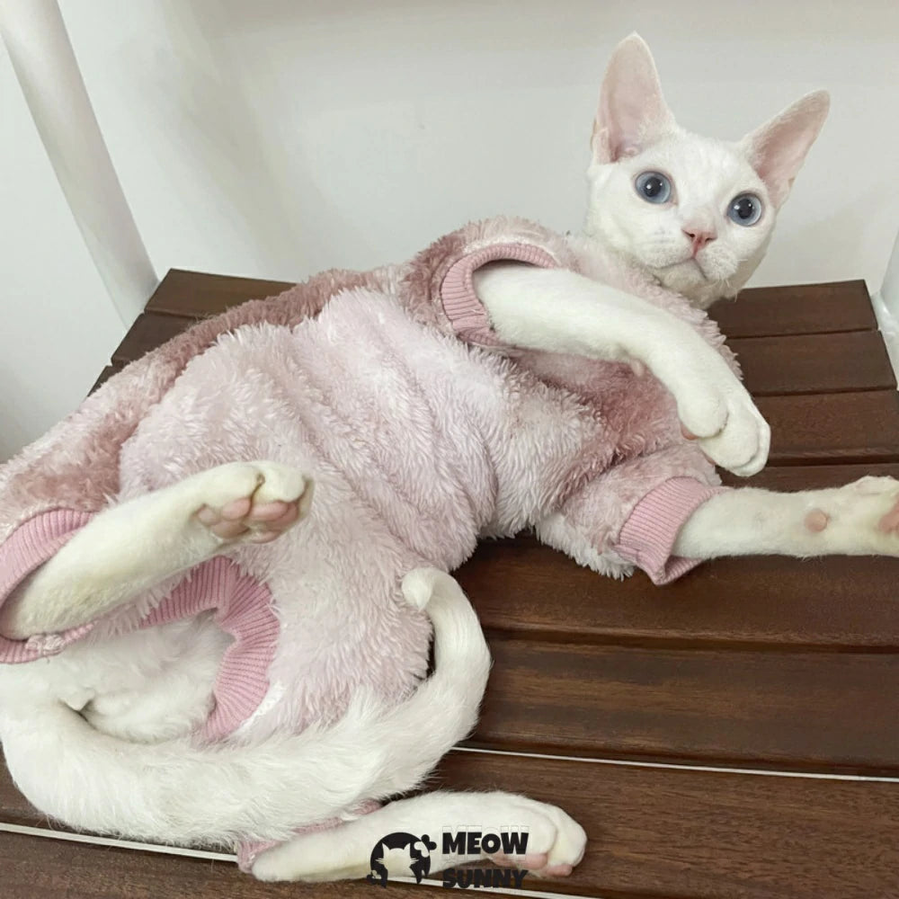Hairless cat clothes elastic thickened belly protection coral fleece jacket