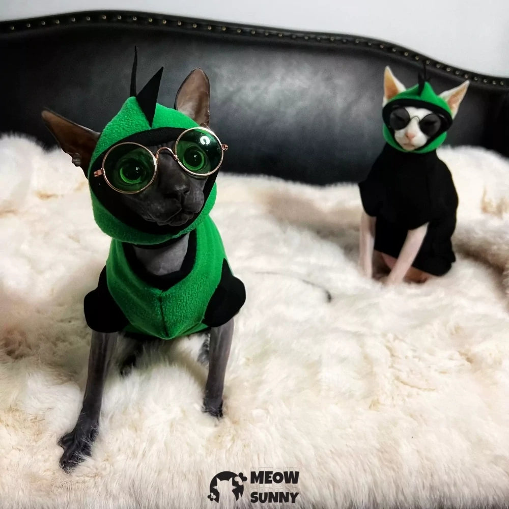 Hairless cat clothes green hat suit for going out warm dinosaur shape