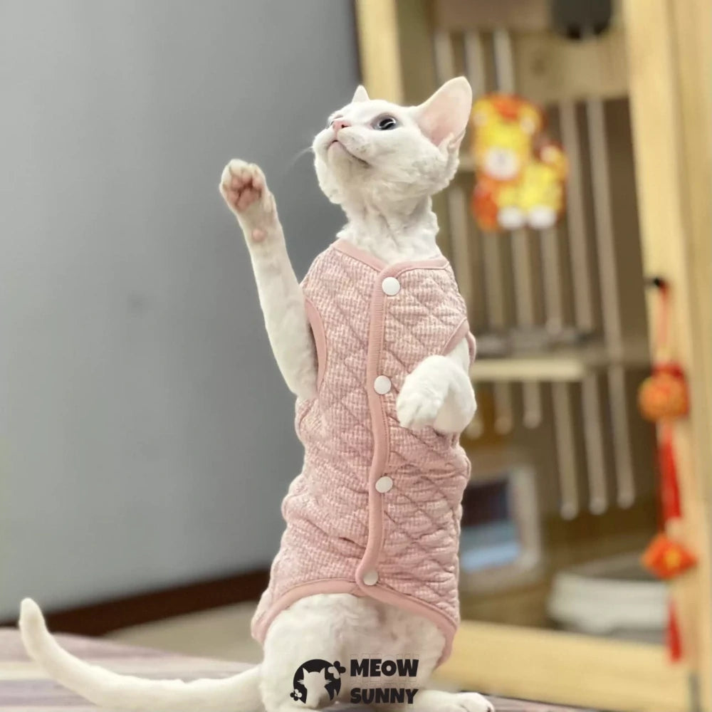 Hairless cat clothes home clothes vest