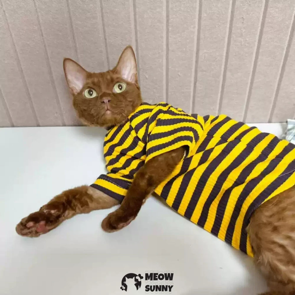 Hairless cat clothes pure cotton high elastic striped T-shirt