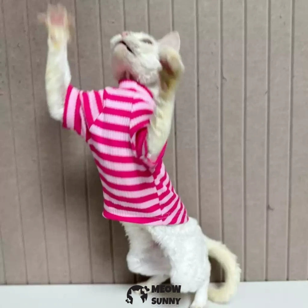 Hairless cat clothes pure cotton high elastic striped T-shirt