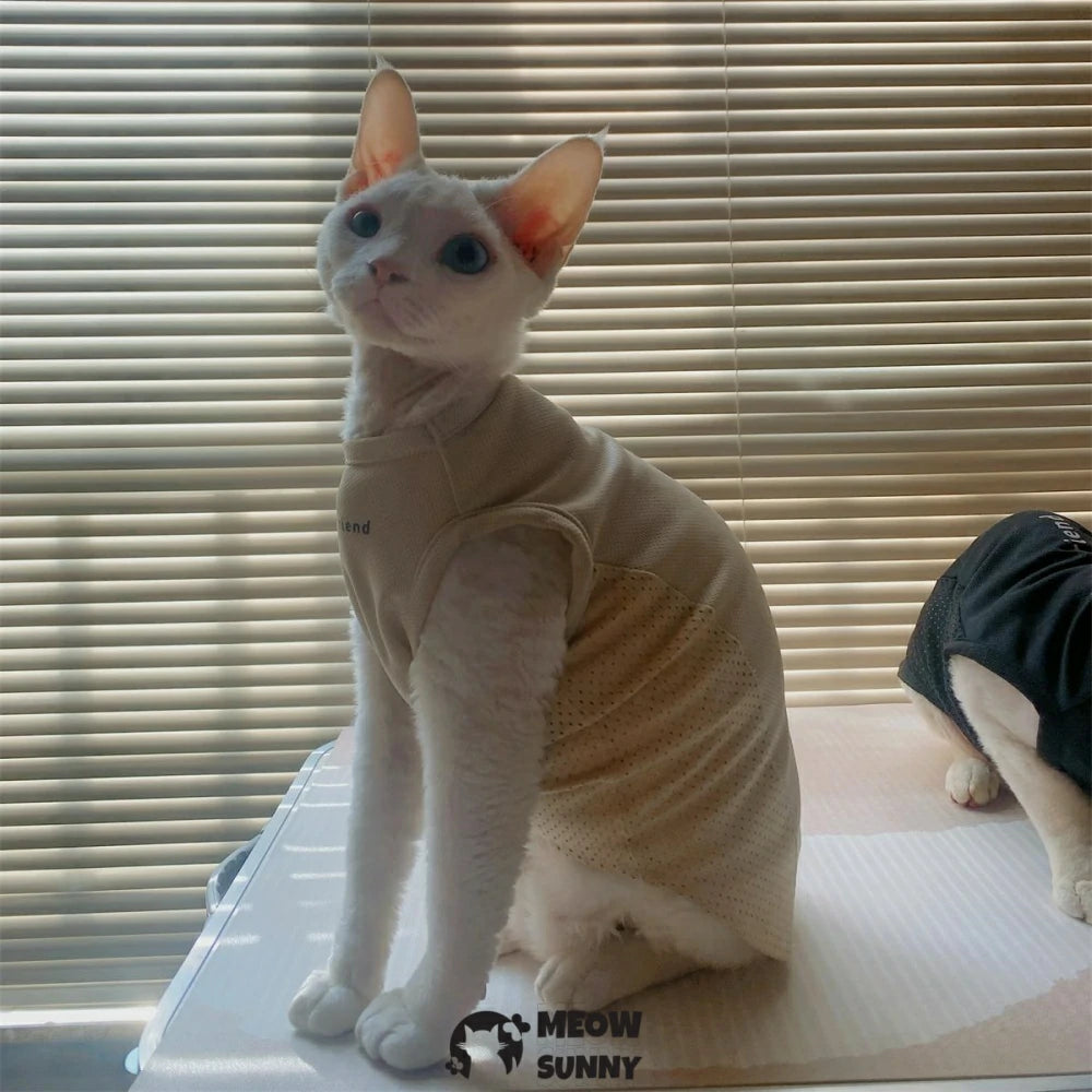 Hairless cat clothes thin American style hollow sun protection bottoming shirt