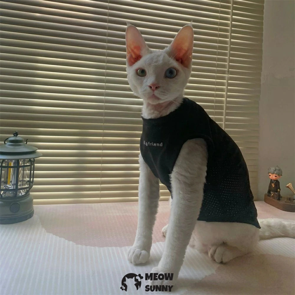 Hairless cat clothes thin American style hollow sun protection bottoming shirt