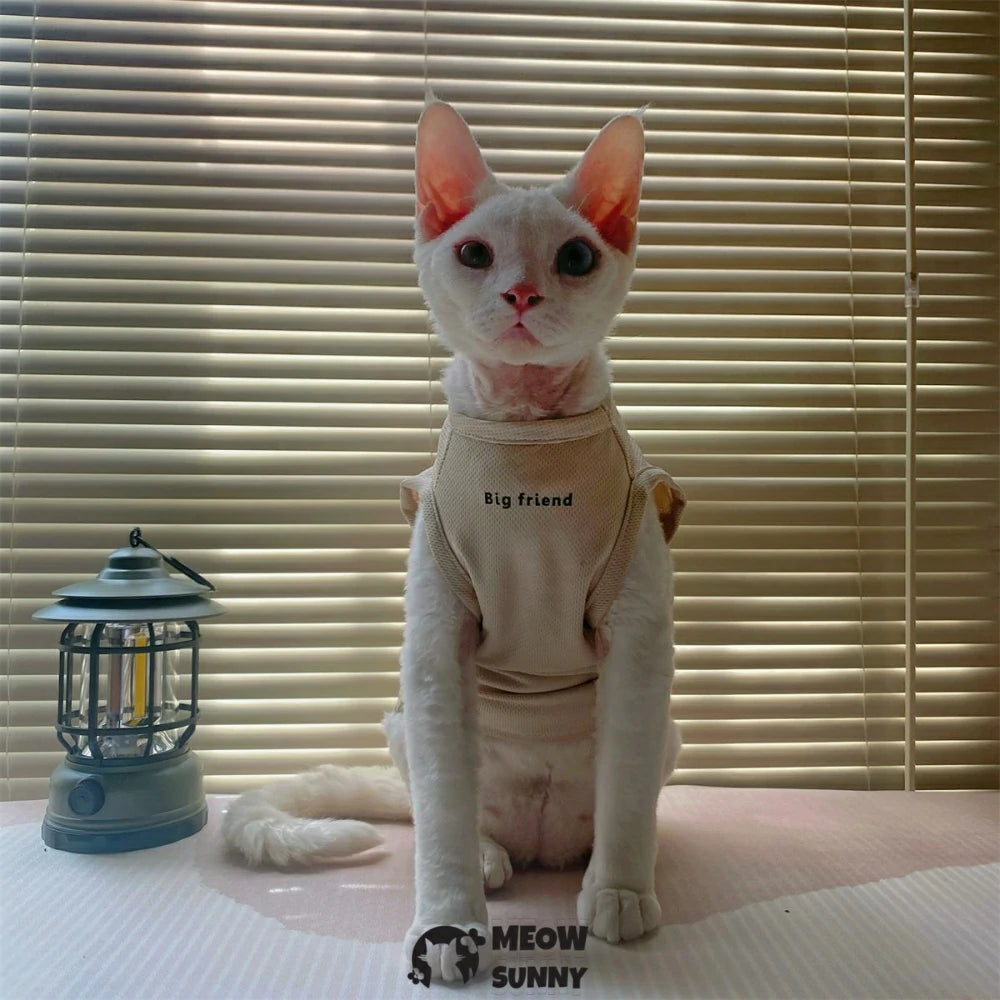 Hairless cat clothes thin American style hollow sun protection bottoming shirt