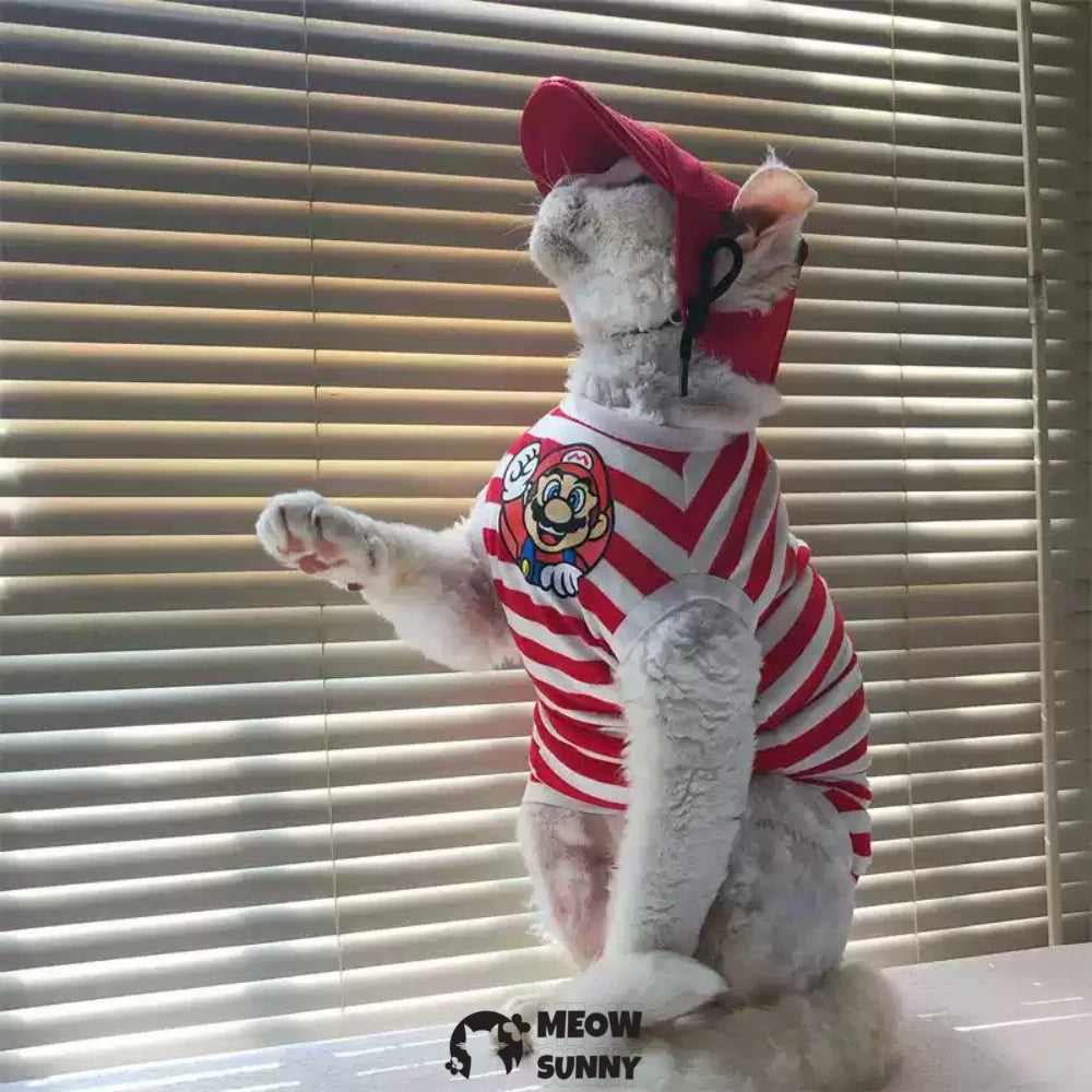Hairless cat clothes thin style net celebrity cartoon striped sleeveless pure cotton