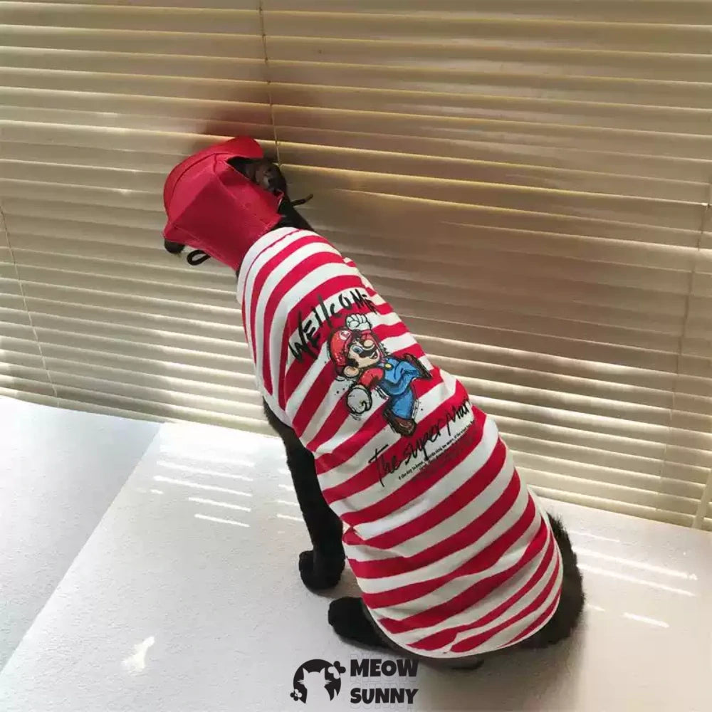 Hairless cat clothes thin style net celebrity cartoon striped sleeveless pure cotton