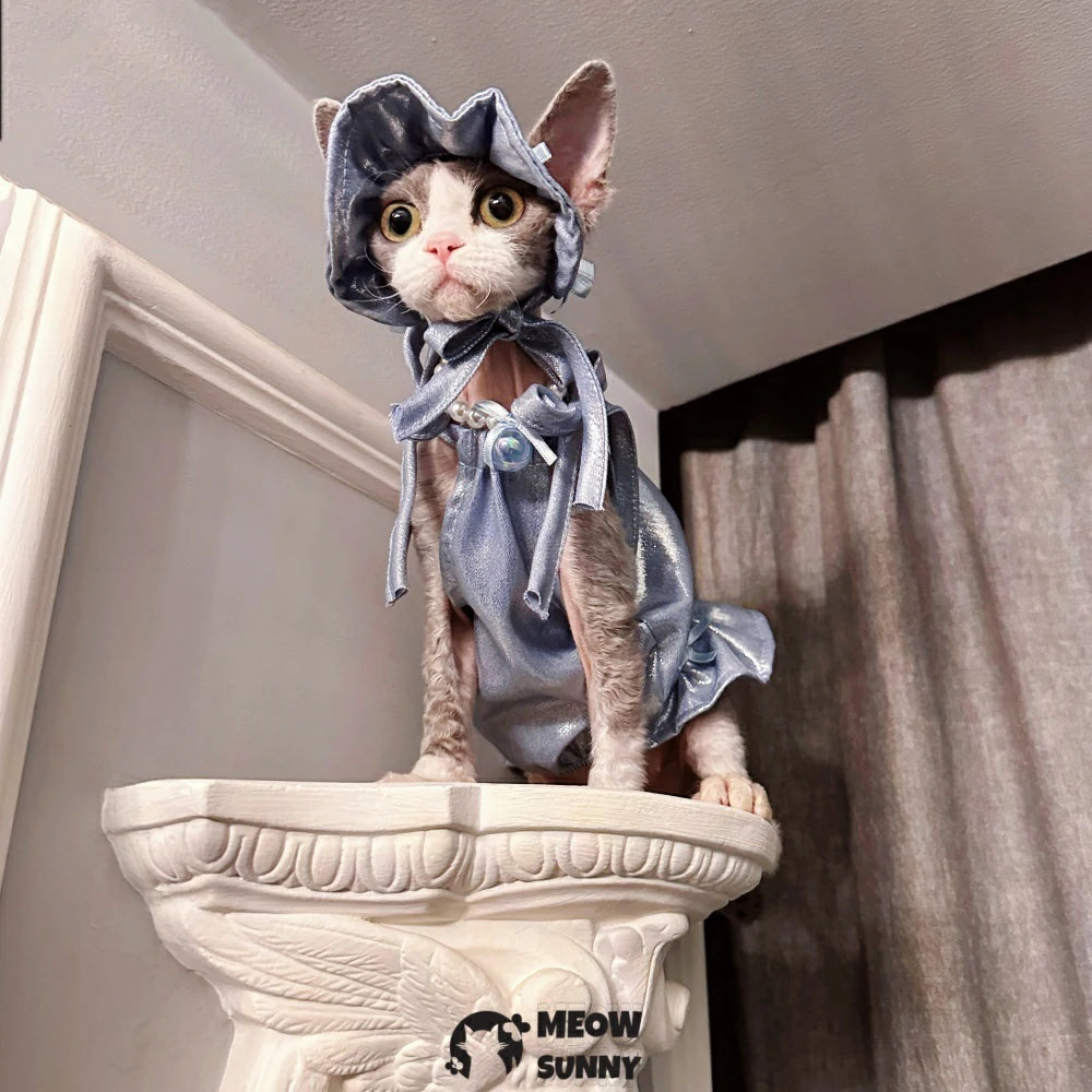 Hairless cat cool and sweet summer glass denim bow tie suspender skirt