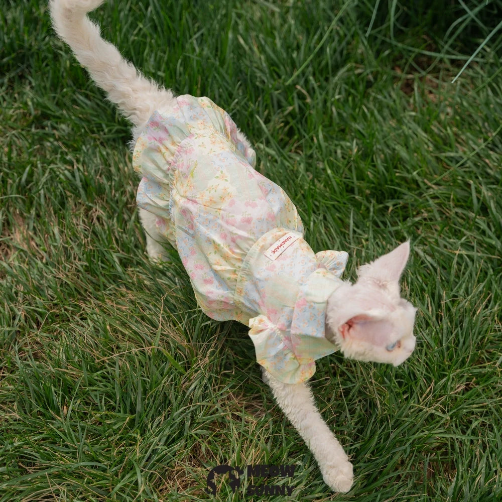Hairless cat floral dress is comfortable and breathable