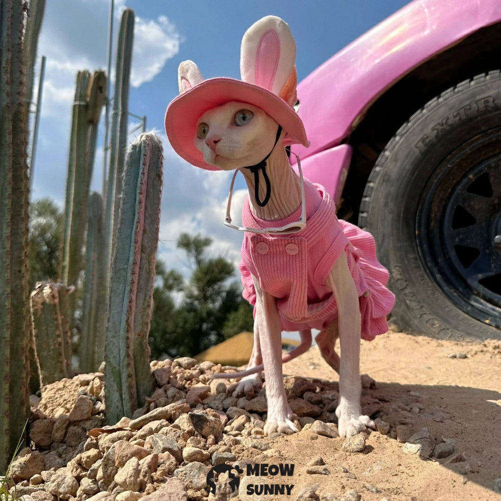 Hairless cat pink overalls skirt, bunny ear hat, and pure cotton vest