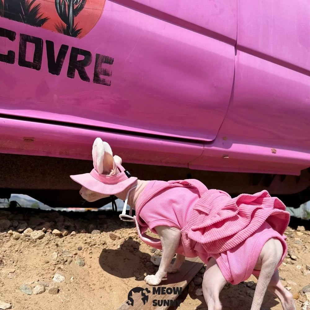 Hairless cat pink overalls skirt, bunny ear hat, and pure cotton vest
