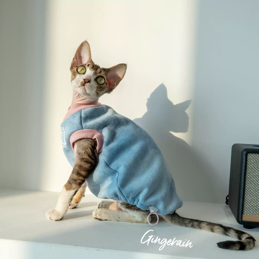 Hairless cat pure cotton velvet blue vest sweatshirt