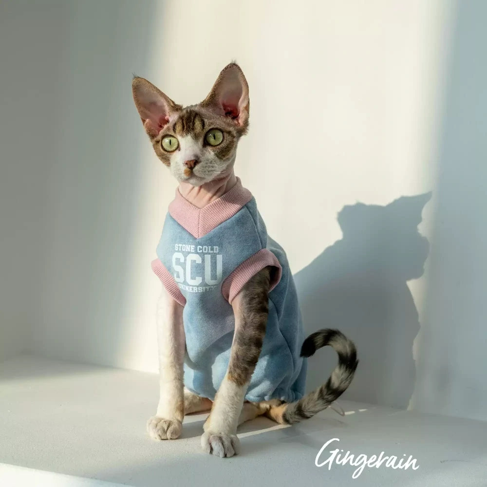 Hairless cat pure cotton velvet blue vest sweatshirt