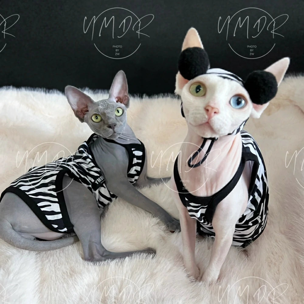 Hairless cat pure cotton zebra pattern summer belly protection one-piece sling