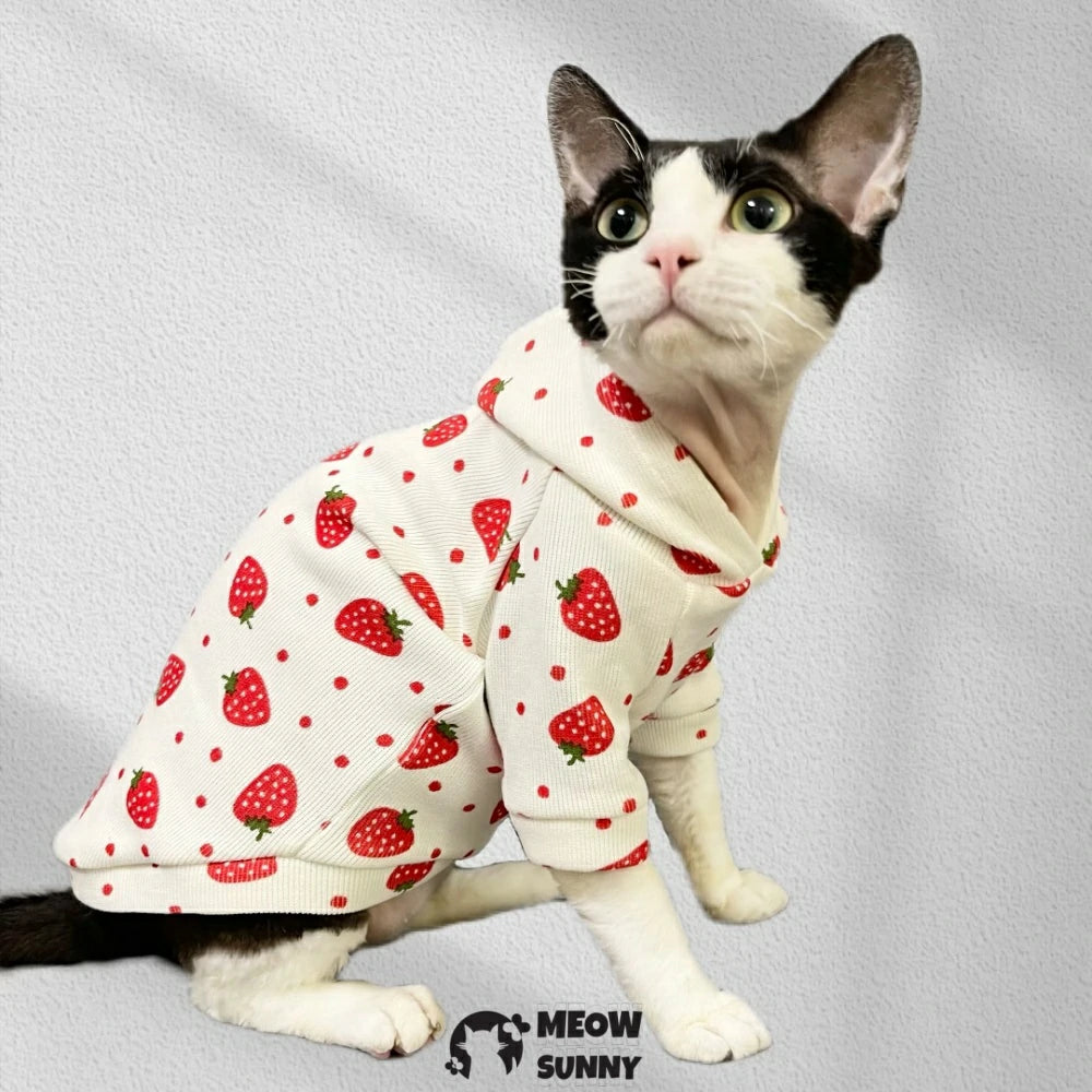 Hairless cat sphinx sweatshirt with hood to keep warm