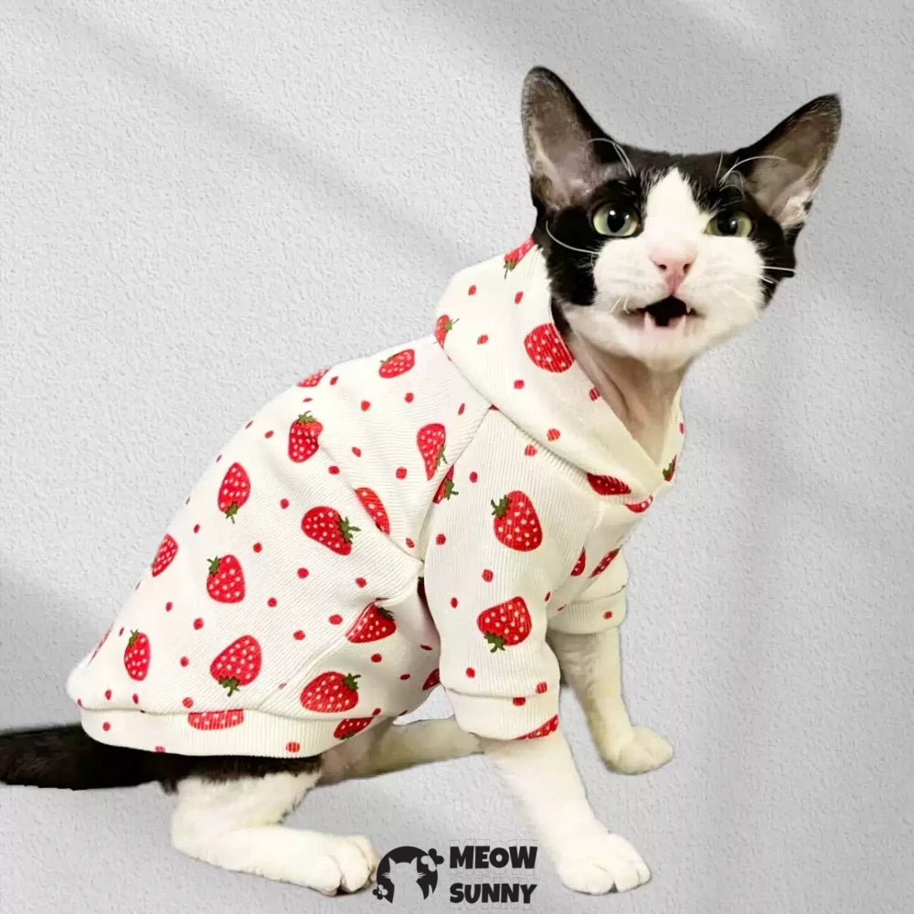 Hairless cat sphinx sweatshirt with hood to keep warm