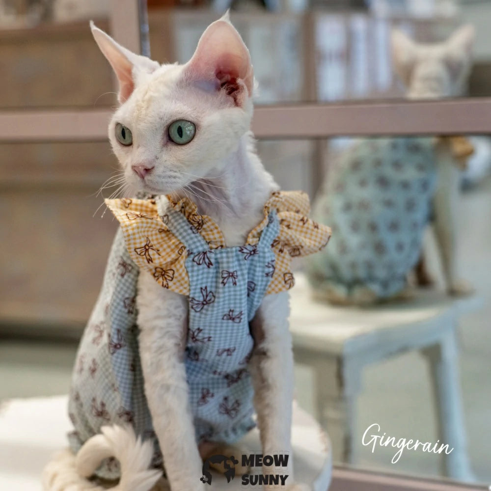 Hairless cat summer breathable light cute dress