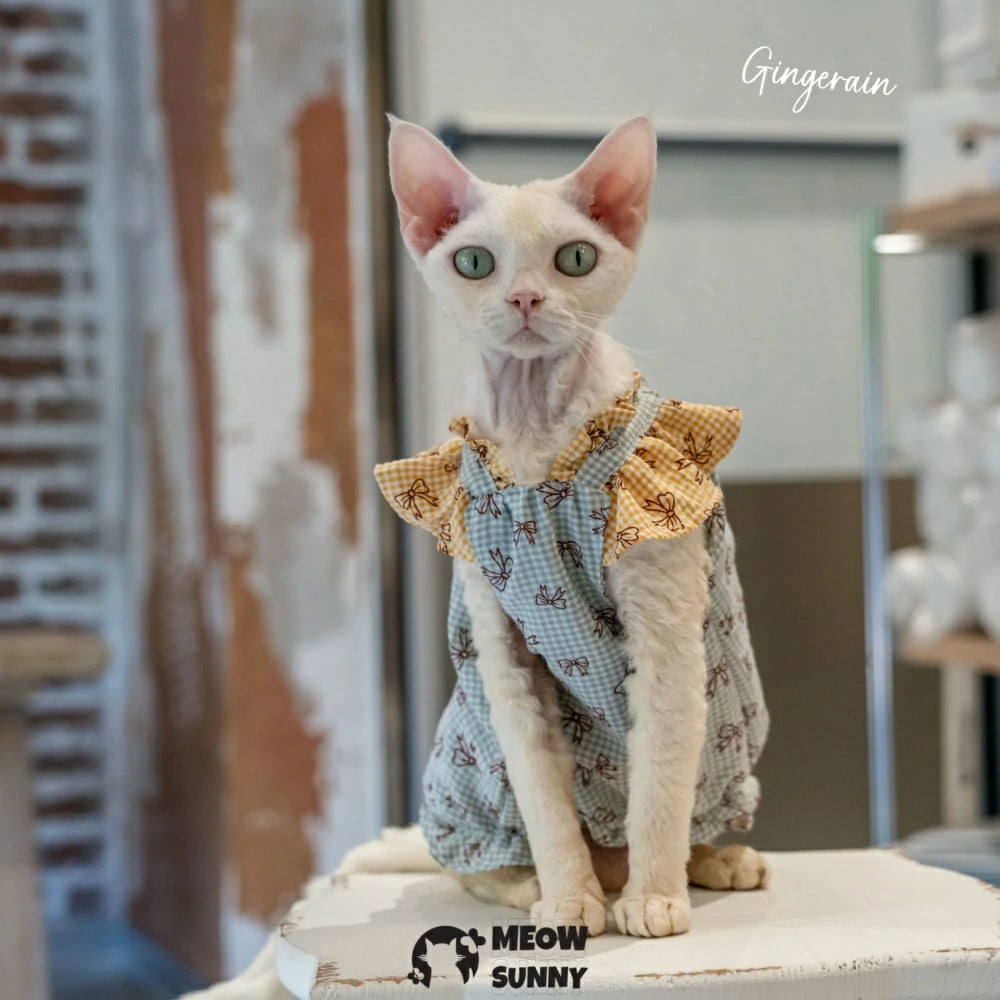 Hairless cat summer breathable light cute dress