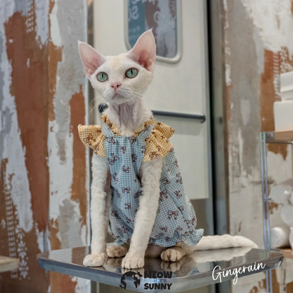 Hairless cat summer breathable light cute dress