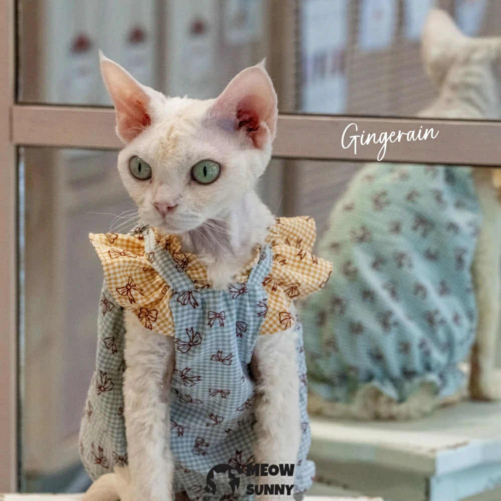 Hairless cat summer breathable light cute dress