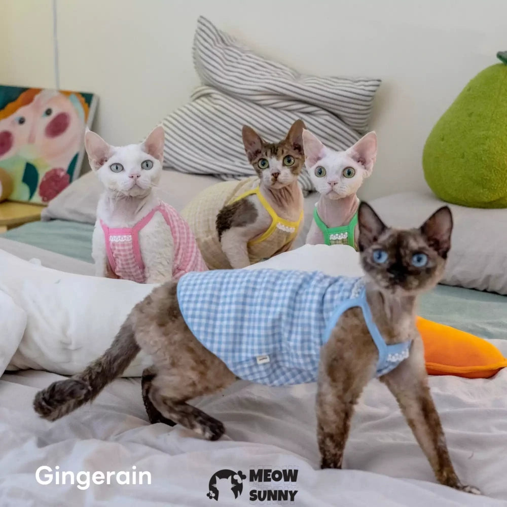 Hairless cat summer candy plaid tank top comfortable and breathable