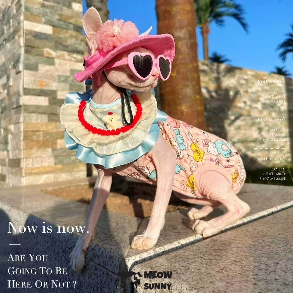 Hairless cat summer pure cotton thin clothes cute dopamine pink sun hat