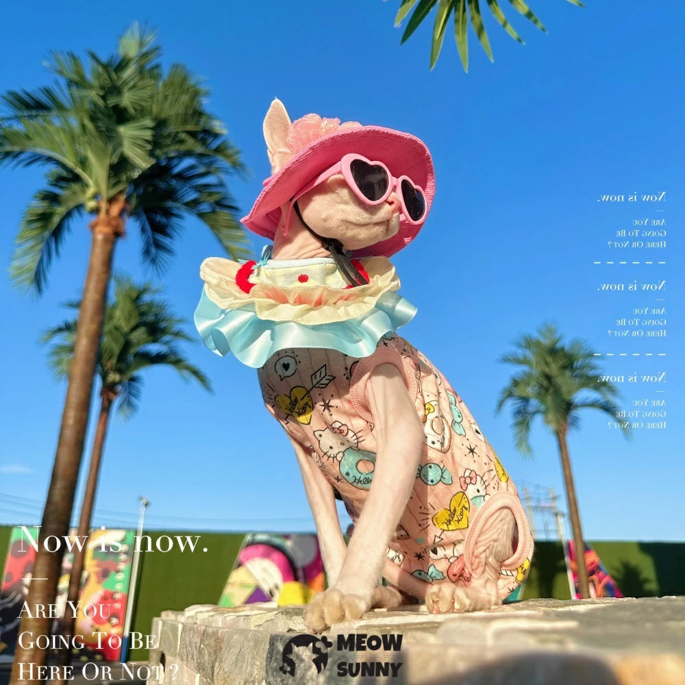 Hairless cat summer pure cotton thin clothes cute dopamine pink sun hat