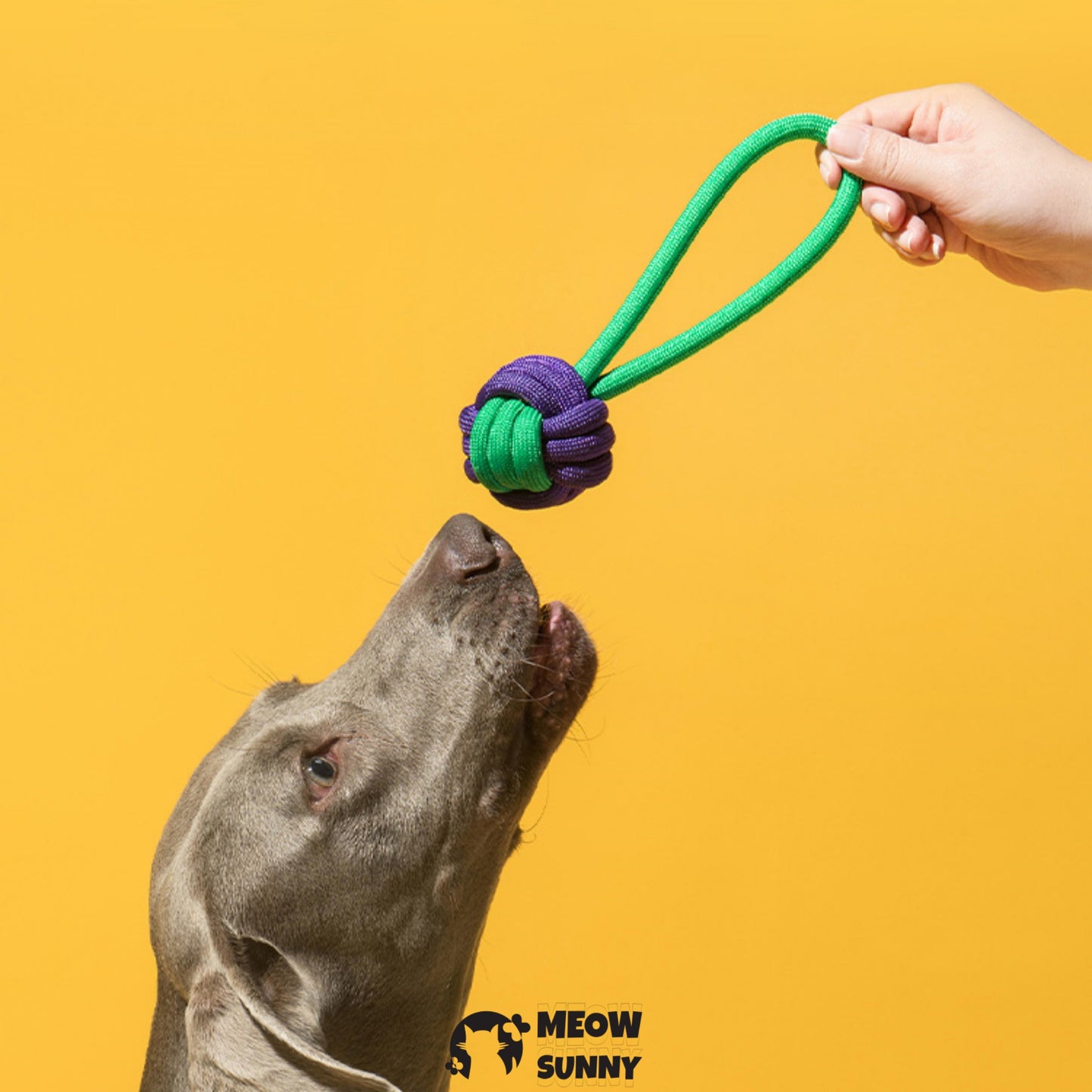 Heavy Duty Dog Rope Toys for Aggressive Chewers