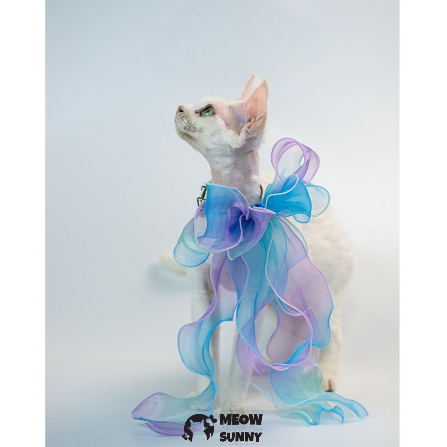Colorful Bow Tie Cat & Dog Party Collar