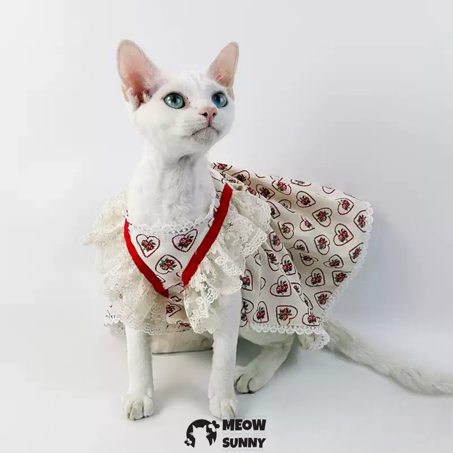 Sweet Heart Strawberry Cat and Dog Princess Dress