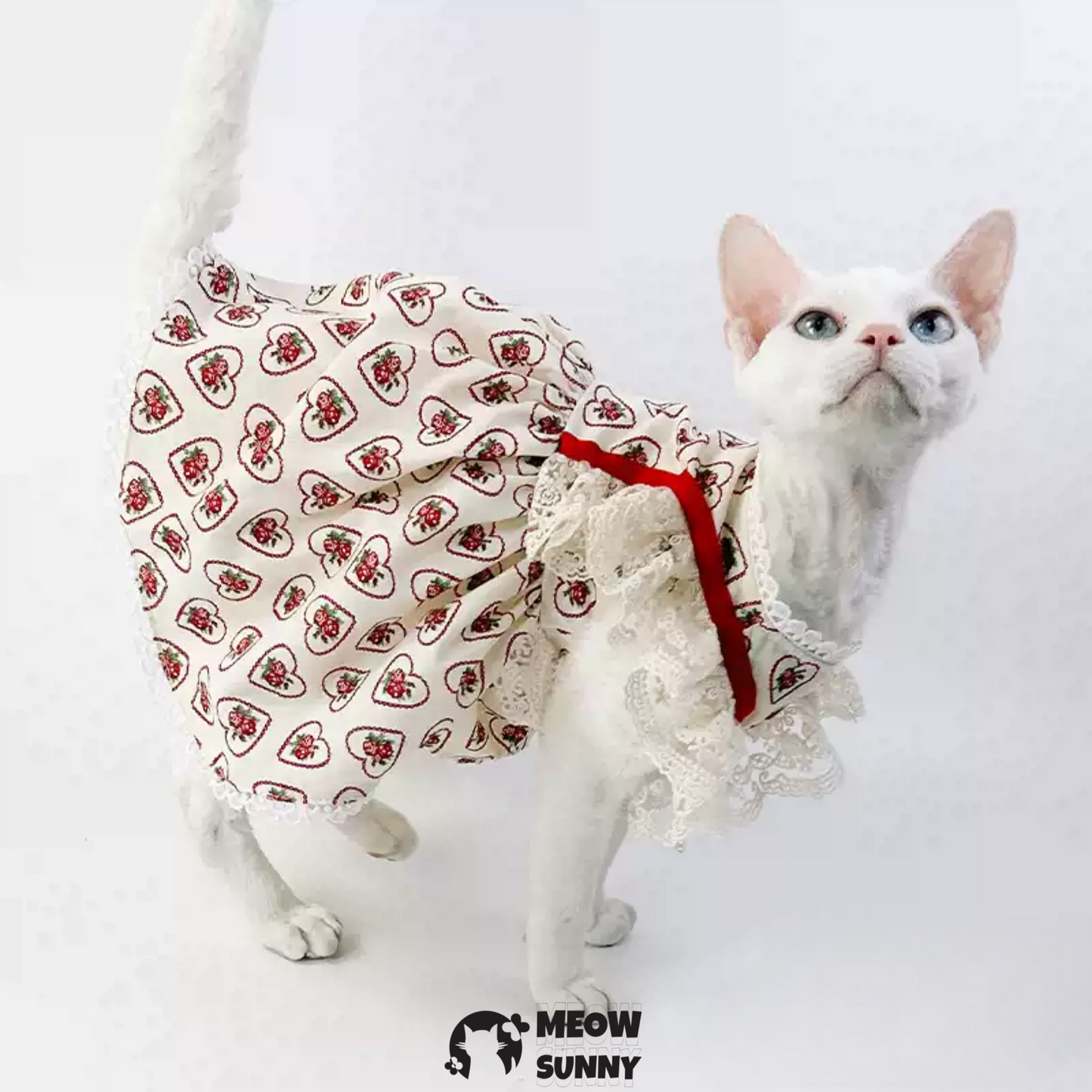 Sweet Heart Strawberry Cat and Dog Princess Dress