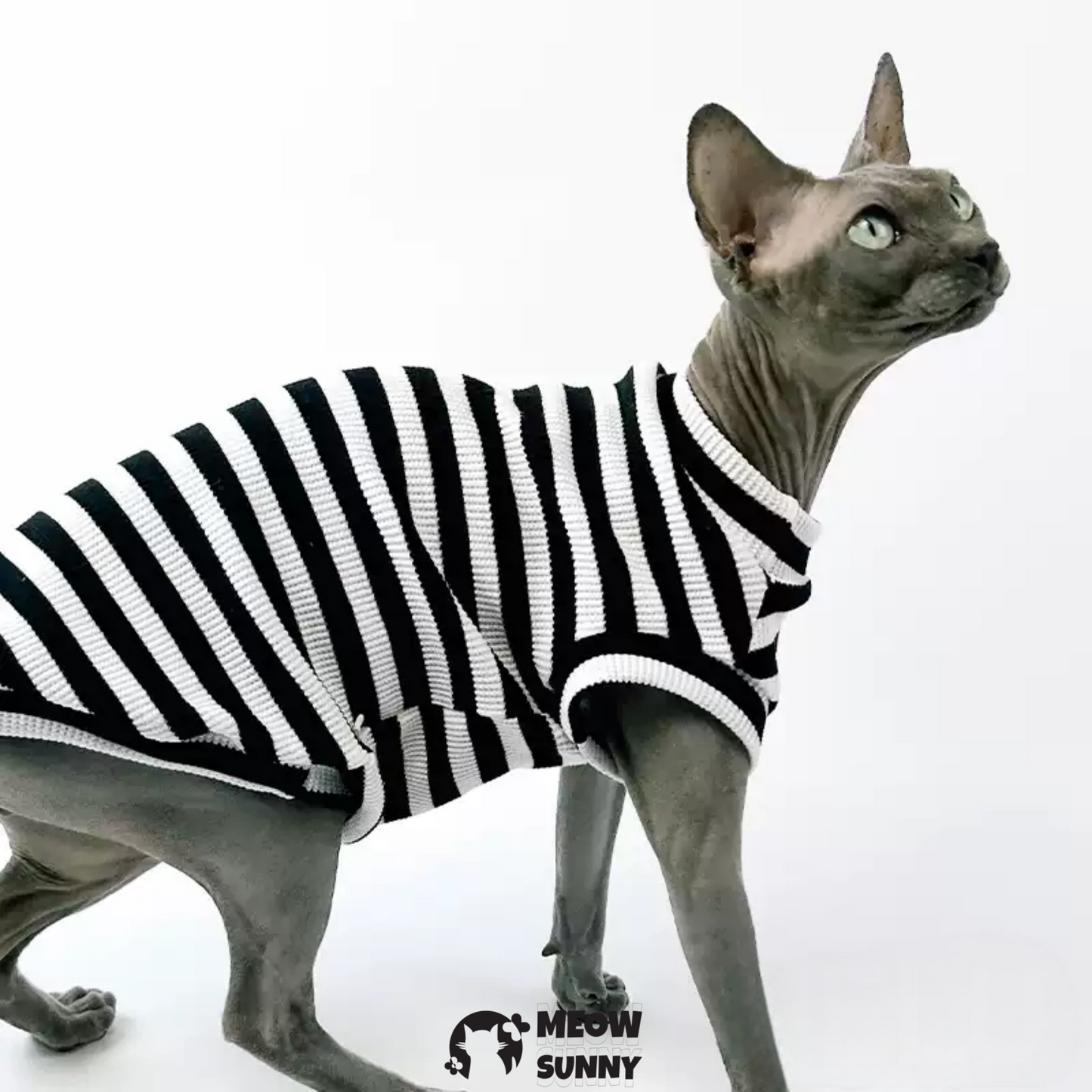 Striped Dog & Cat Polo Shirt, Yellow & Navy, Small