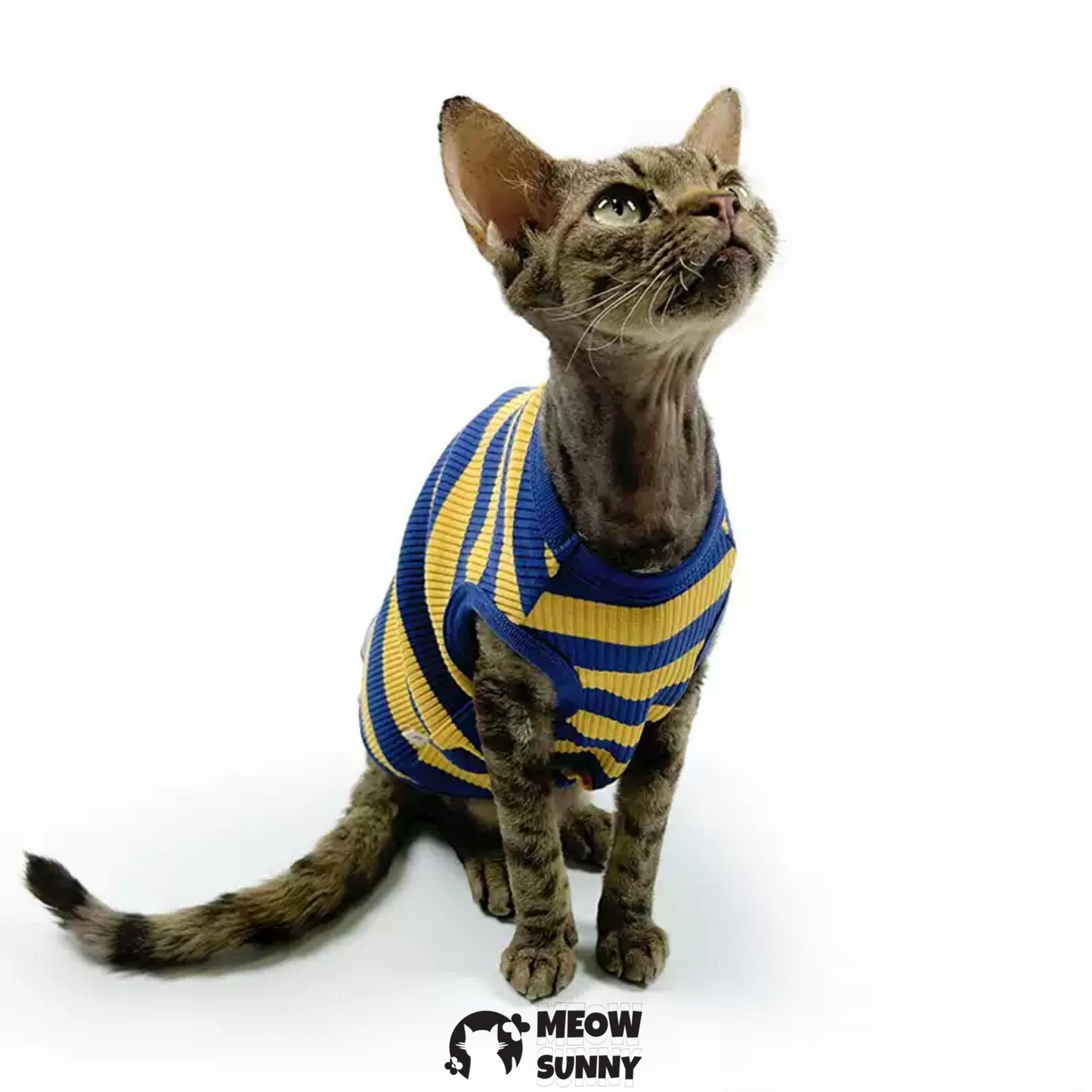 Striped Dog & Cat Polo Shirt, Yellow & Navy, Small