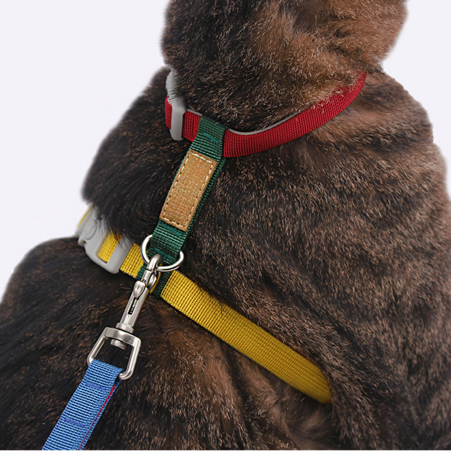 Dopamine color nylon cat harness and elastic leash