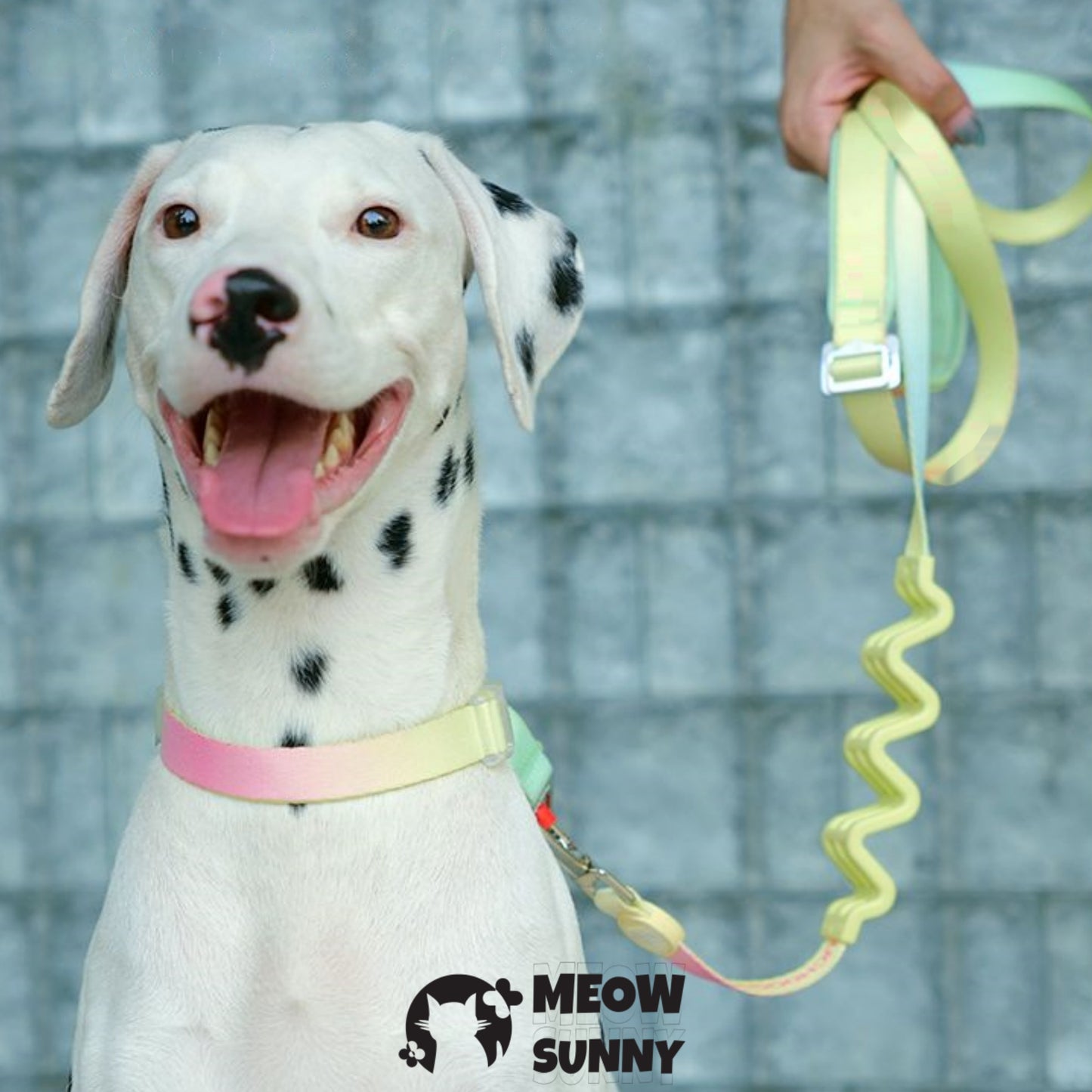 Escape Free Easy Fit Dog Harness, Colorful,1.2M