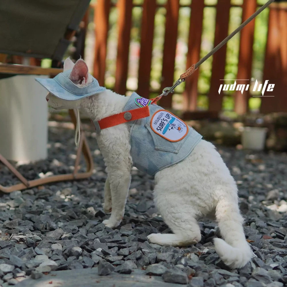 Light blue denim with cat cartoon patch and chest leash set including hat