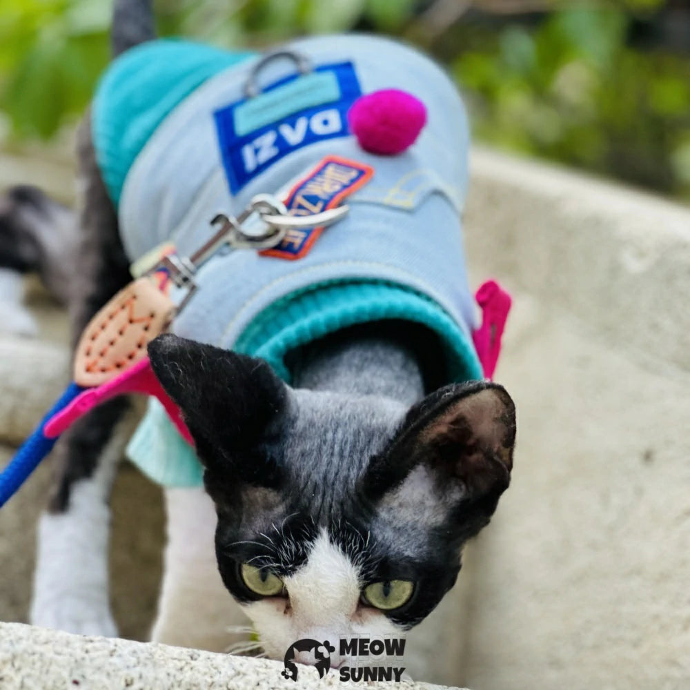Multicolor Cloth Patch Cat Denim Chest Leash Set