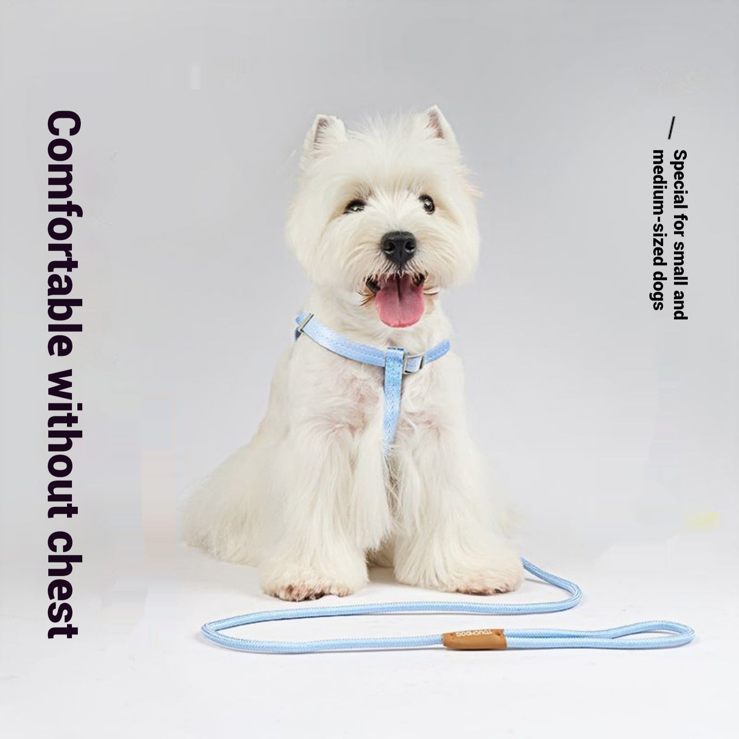 Rope Slip Training Dog Leash, 4-ft long, 1/2-in wide