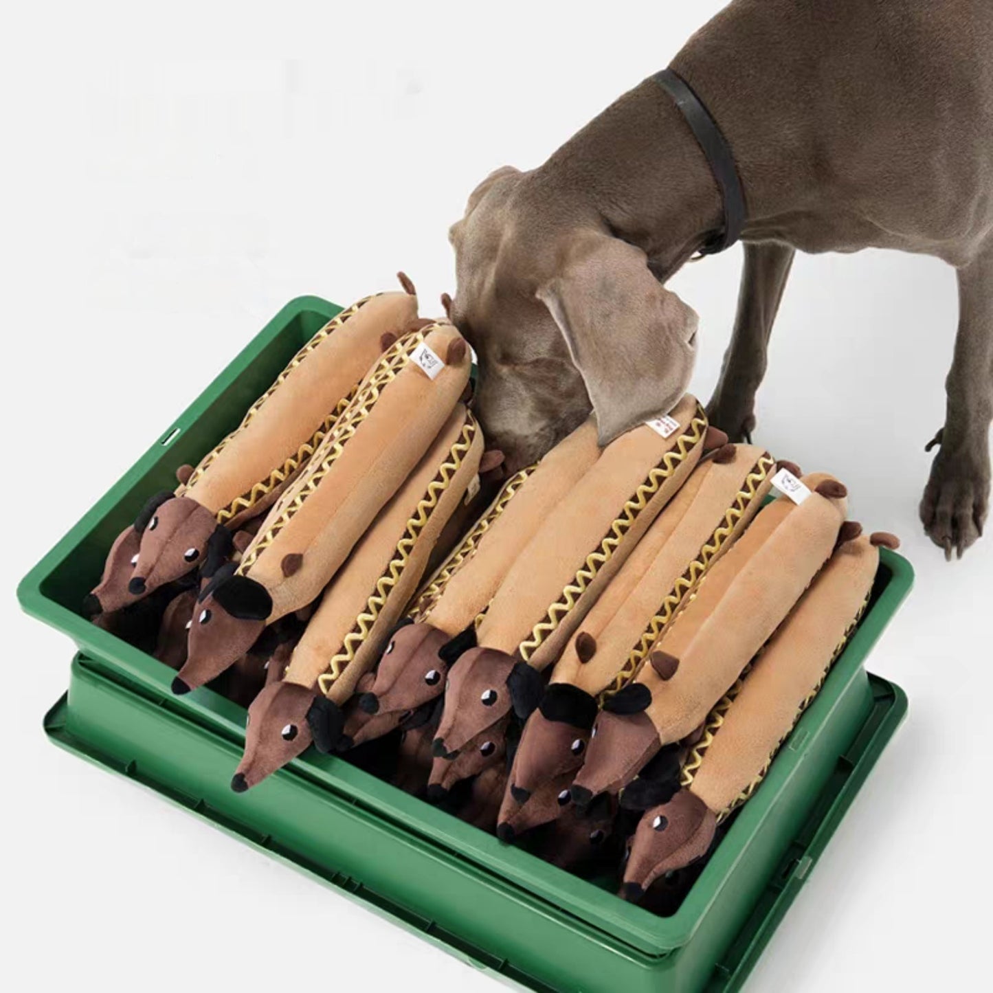 Skinny Dachshund Tough Squeaky Dog Chew Toy, Large