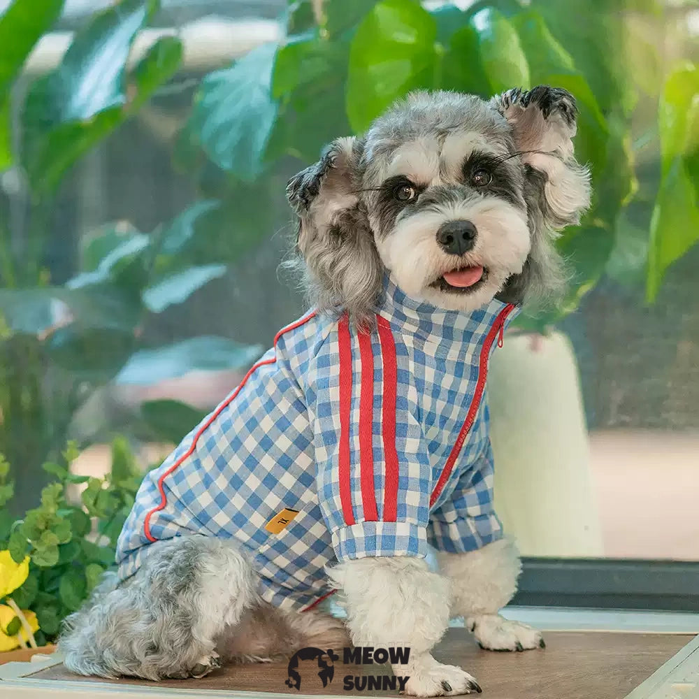 Outdoor fresh summer thin dog comfortable and fashionable sun protection clothes