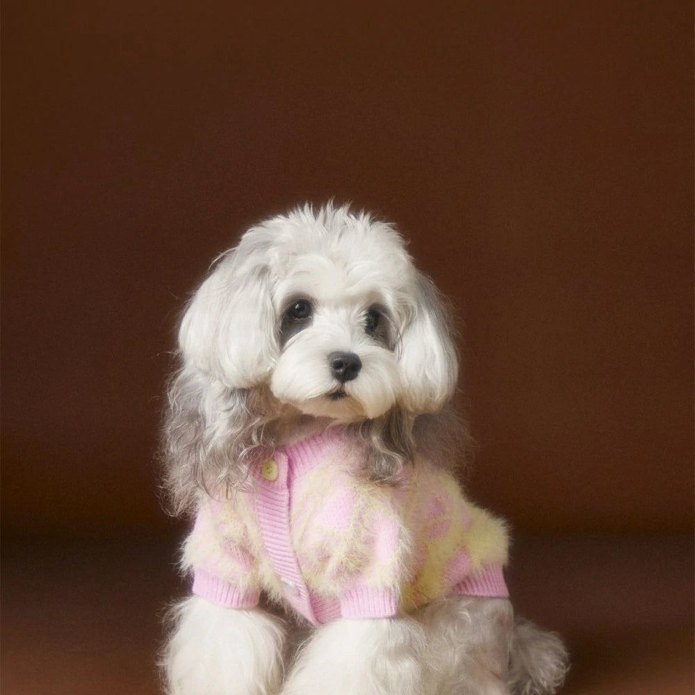Pet Clothes Autumn and Winter Puppy Cardigan Sweater Jacket