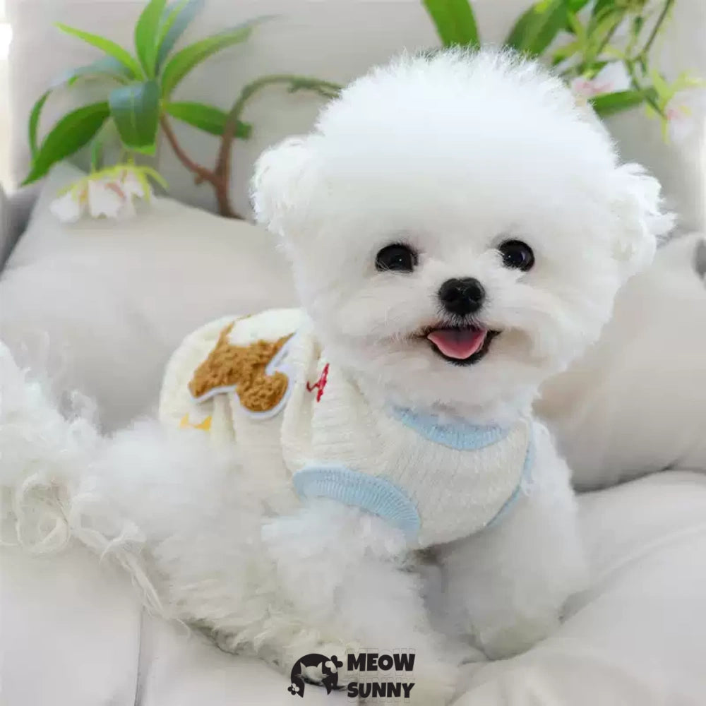 Pet Clothes Summer Dog Dress Embroidery Puppy Vest Cute Dog Cat Shirt