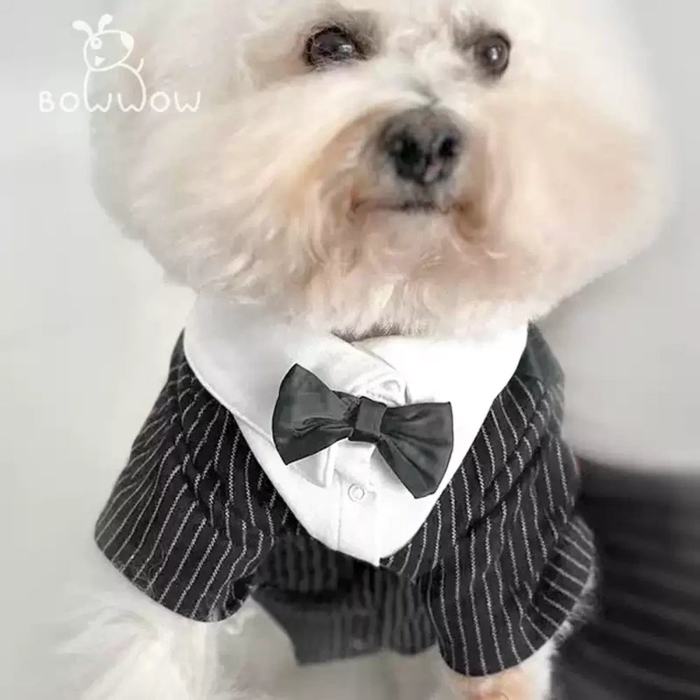 Pet Clothes for Small and Medium Dogs Suit Dress Wedding Dress