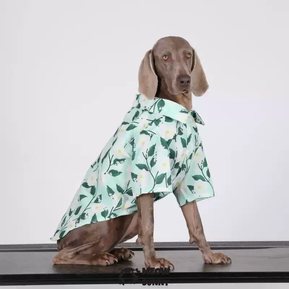Pet Clothing Breathable and Cool Beach Style Big Dog Boy and Girl Shirt