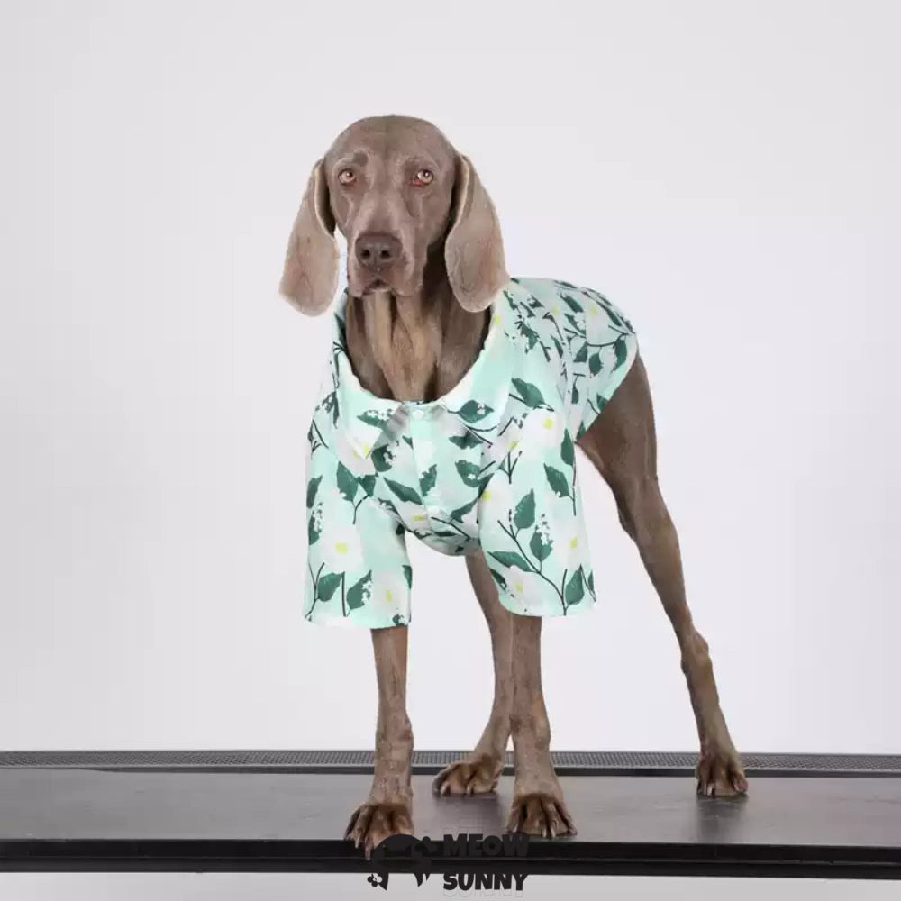 Pet Clothing Breathable and Cool Beach Style Big Dog Boy and Girl Shirt